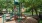 Alto Highland Park